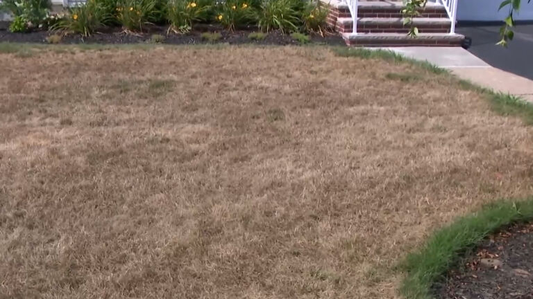 Parts of 7 NJ counties now in severe drought, feds say