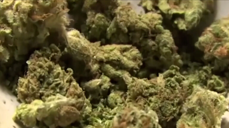 Green light for more recreational cannabis sales locations