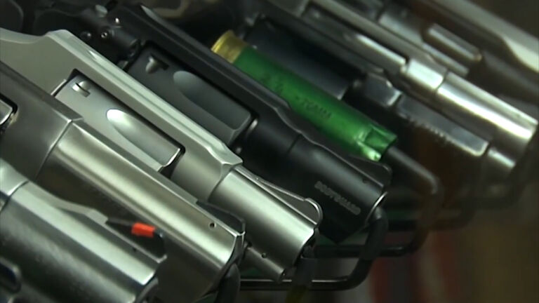 Study: As gun ownership increases, so does need for safety