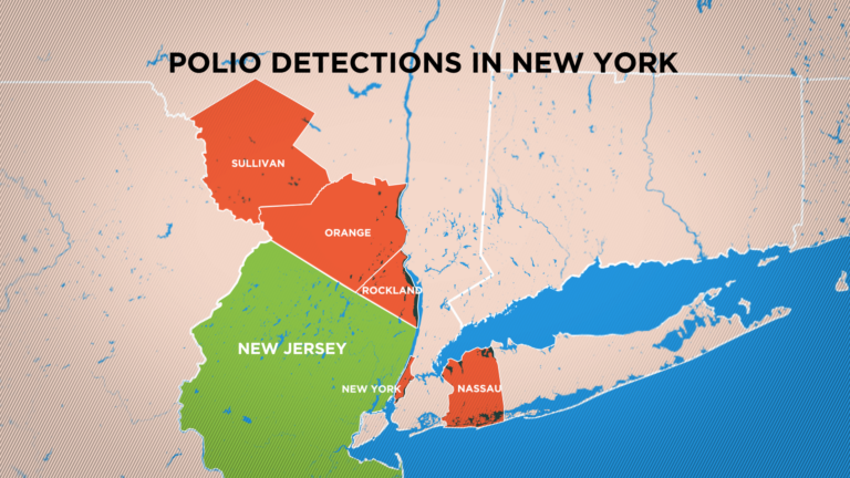 NY declares state of emergency over polio outbreak