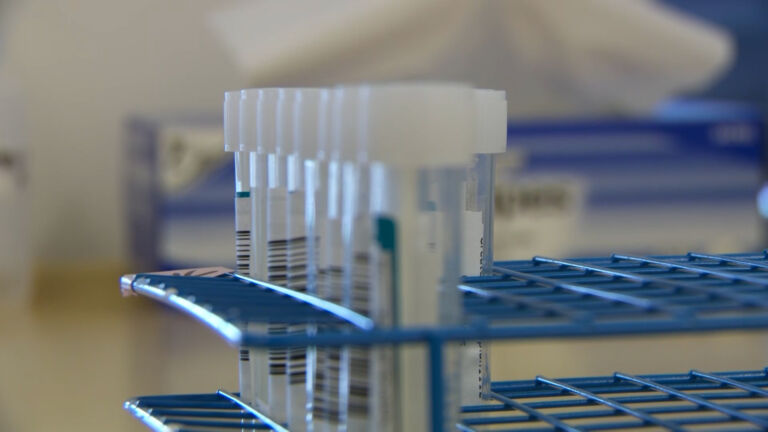 New BQ mutations could drive surge in COVID-19 cases