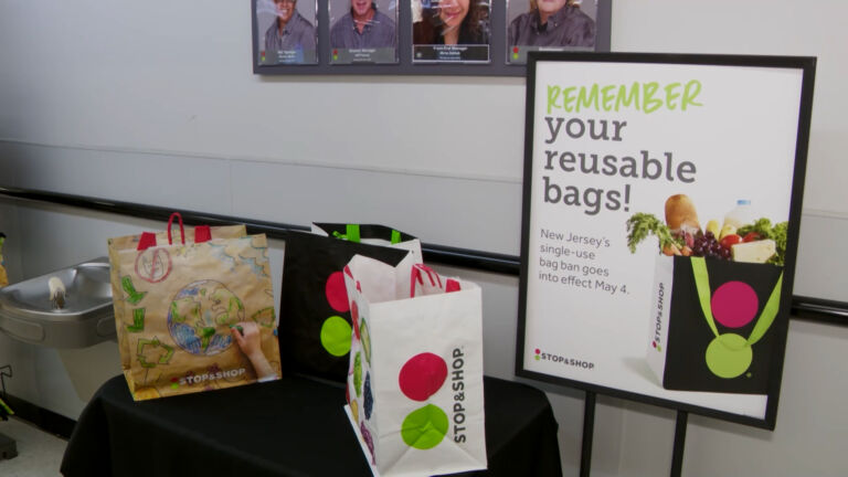 Billions of plastic bags kept out of circulation by NJ ban