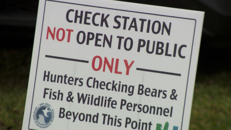 NJ bear hunt resumes, the first in 2 years