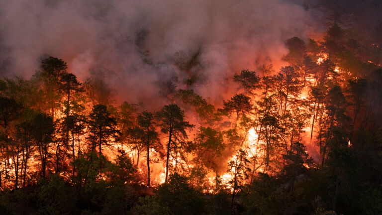 More wildfires may become a budget issue for NJ