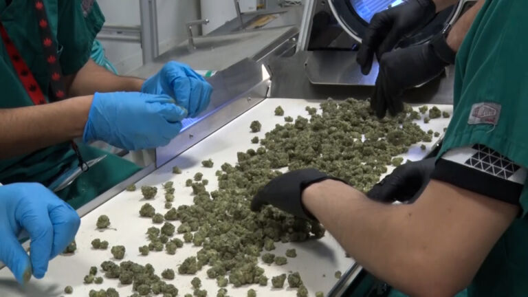 Cannabis industry advocates applaud progress in NJ