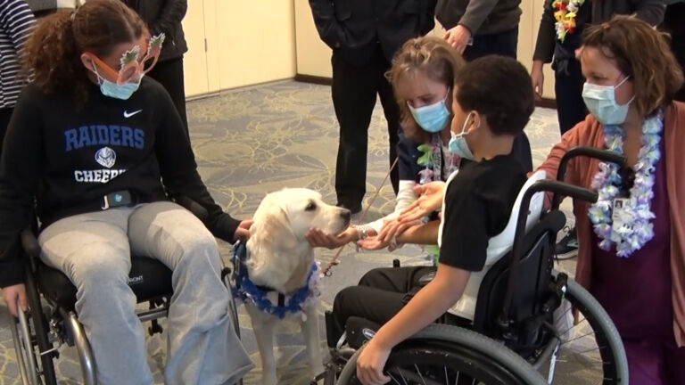 Maui, a full-time therapy dog, works her charm at children’s hospital