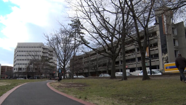 NJ awards grants for planting more trees