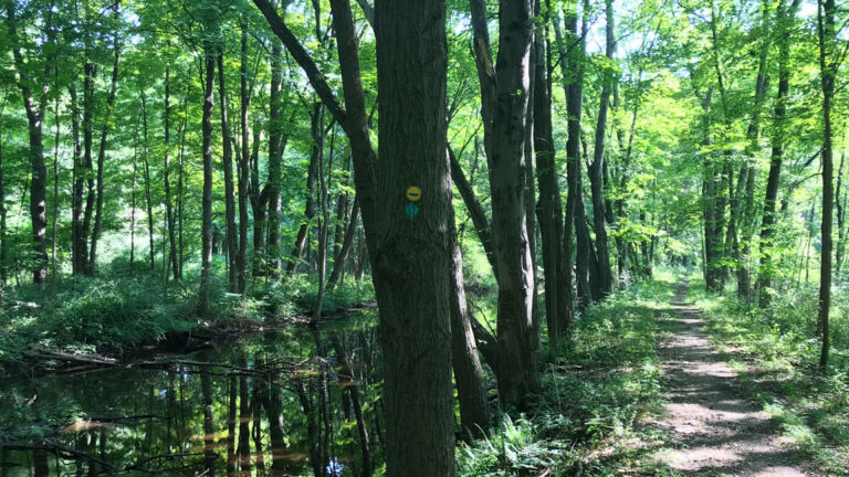 Park advocates urge Murphy to end funding shortfall