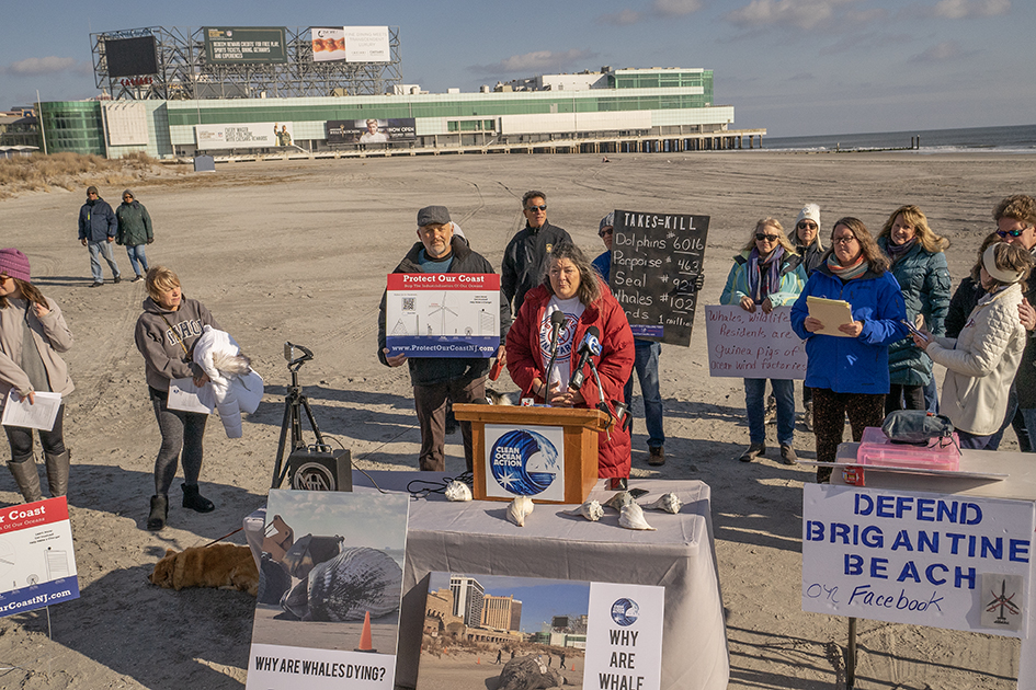 Unexplained deaths of whales on beaches lead to call of halt in offshore wind development