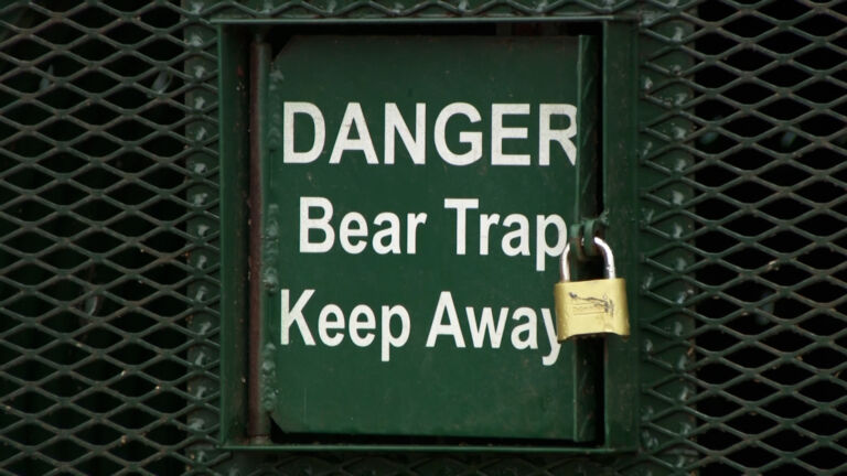 Are you for or against a bear hunt in NJ next winter?