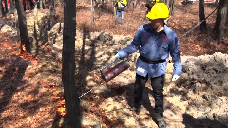 Forest Stewardship Task Force presents 16-point plan for forest protection