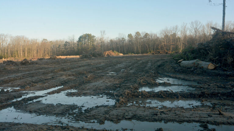 State targets its own after regulators slash forest