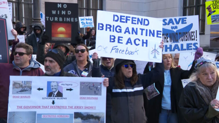 Offshore wind opponents demand immediate halt to wind farm development