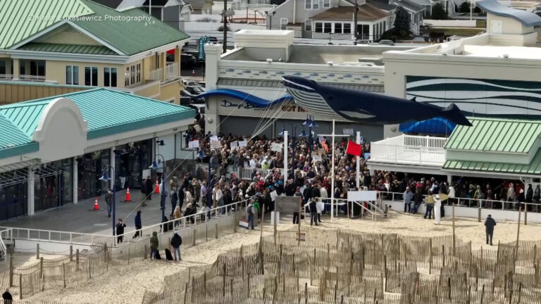 Tensions ratchet up as more dead whales wash up