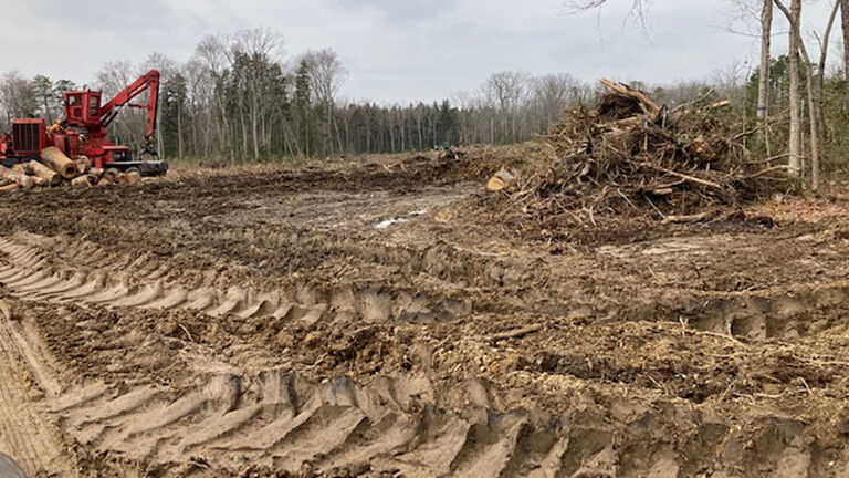 After Glassboro forest fiasco, lawmakers push DEP chief on next steps