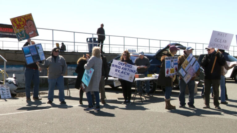 GOP offshore wind hearing underlines battle over whale strandings