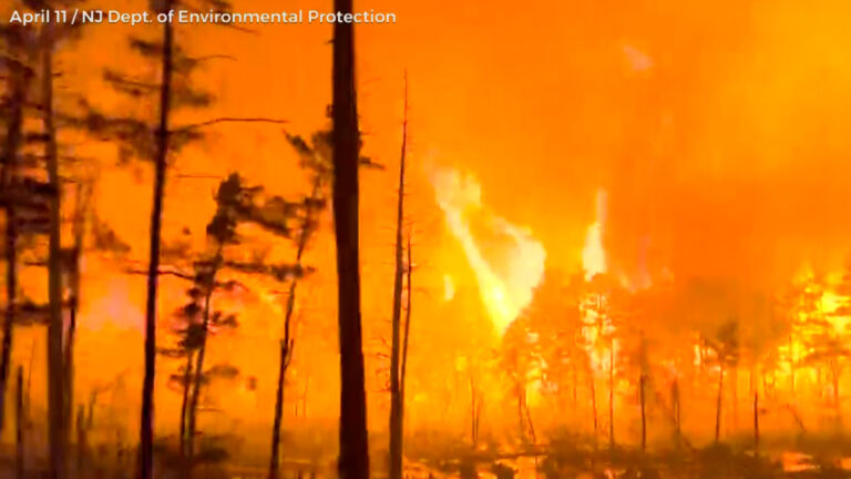 Another wildfire breaks out, this time in Burlington County