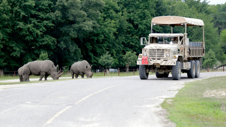 Will feds sanction Six Flags Great Adventure over animal transactions?