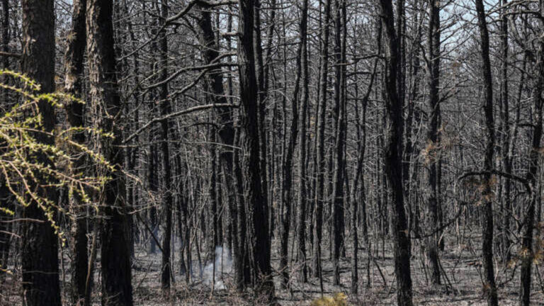 A changing climate is contributing to longer wildfire seasons in NJ, experts say
