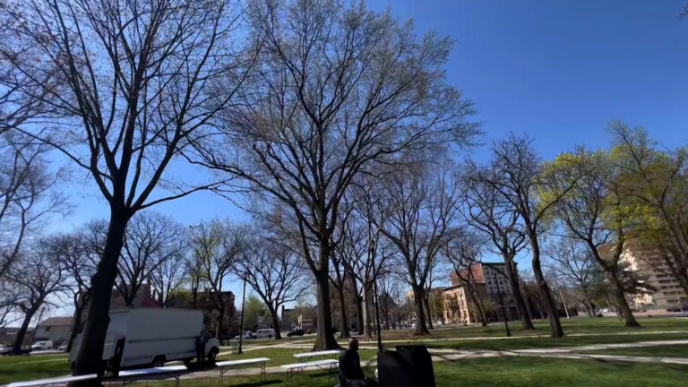 The push for more trees, greener Newark