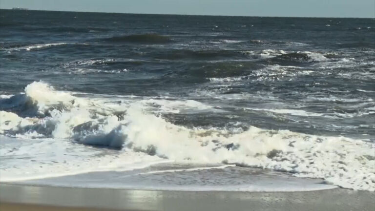 Environmental scientists urge more straight talk about oceans