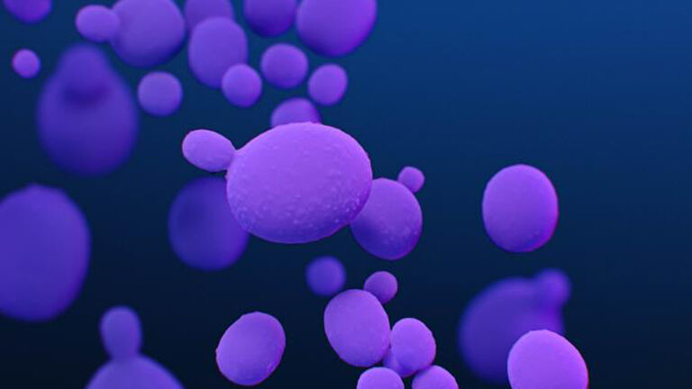 NJ sees rise in antibiotic-resistant infections