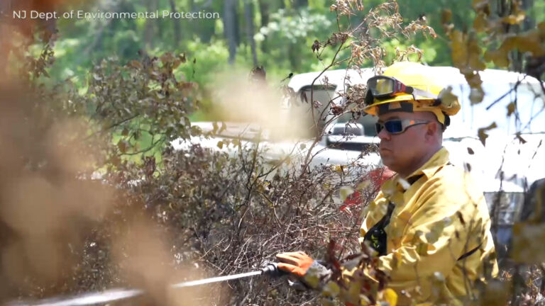 Wildfire in Bass River State Forest about 50% contained by Friday