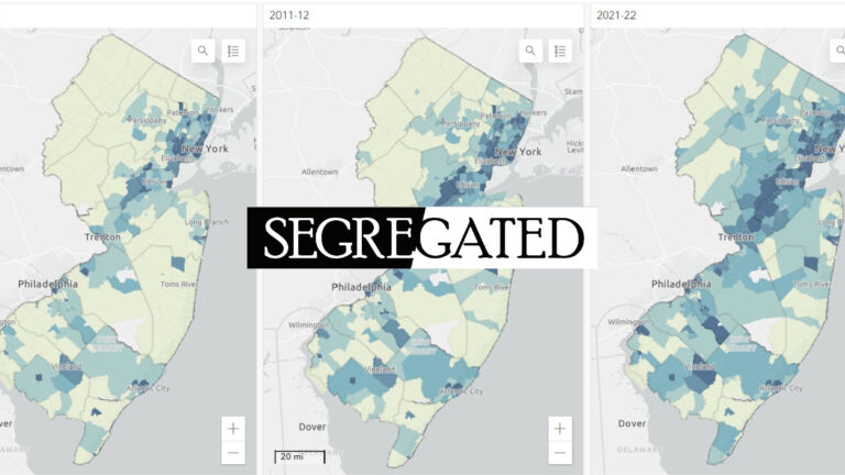 segregated maps logo