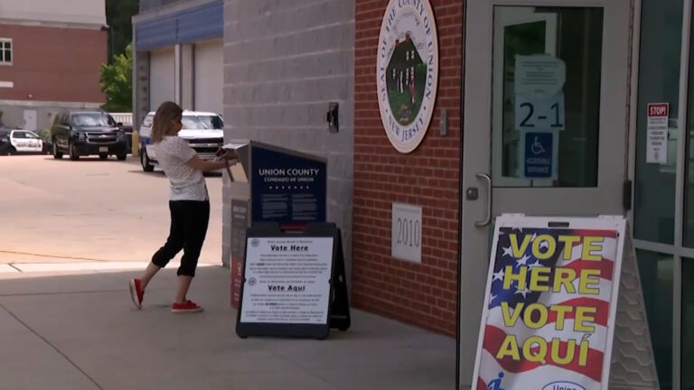 Primary election: The implications for November general election