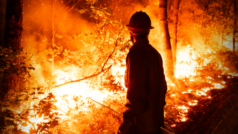 Firefighters work to contain Wharton State Forest wildfire