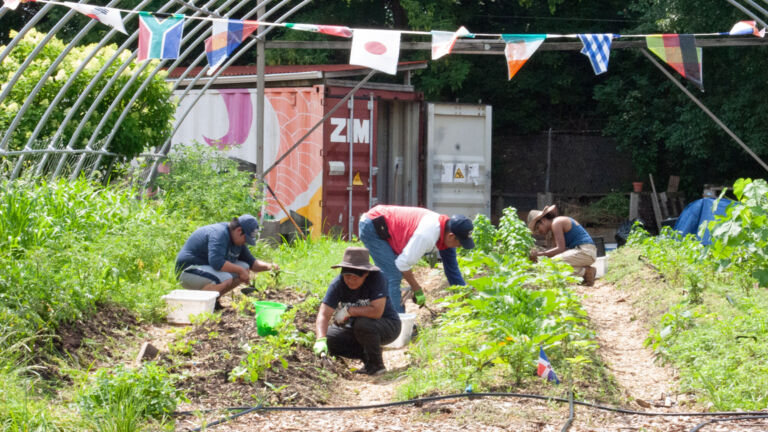 Fighting urban heat island effects in Newark