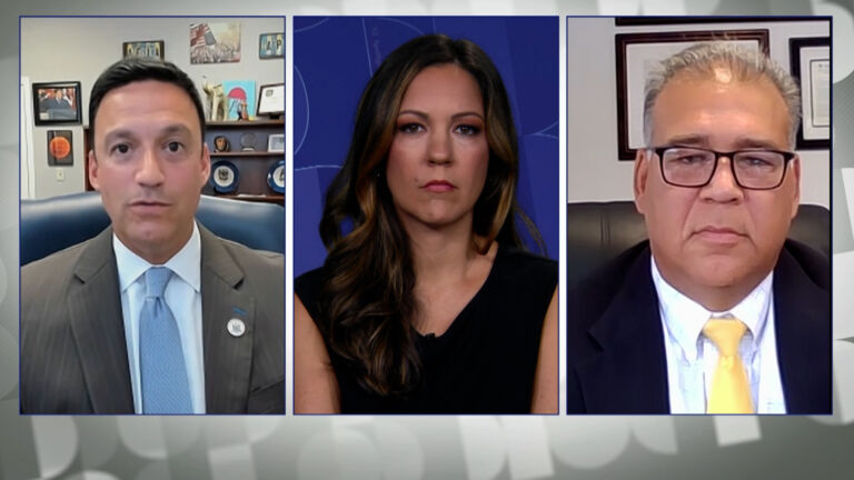 Republican lawmakers intervene in parental rights case