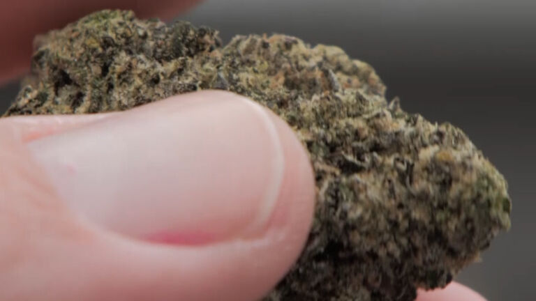 Federal health officials recommend reclassifying marijuana as lower-level drug