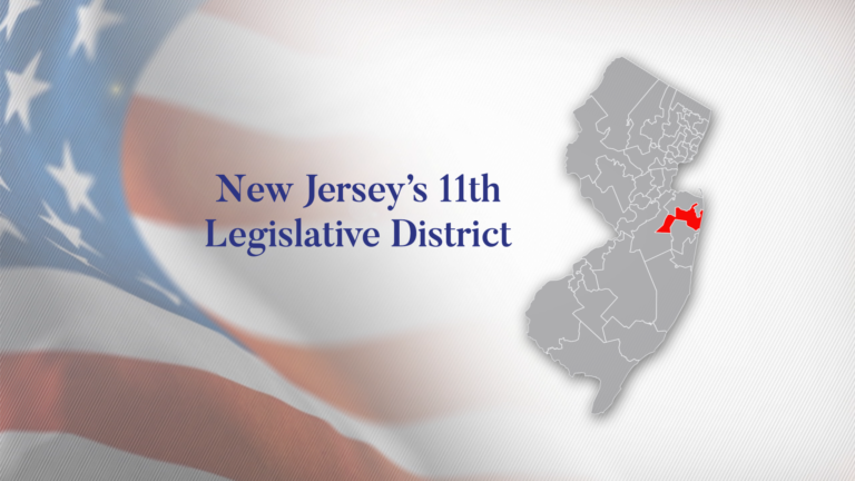Culture wars dominate 11th District Senate race