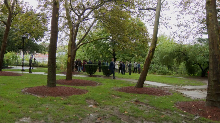 New ‘microforests’ grow in Elizabeth