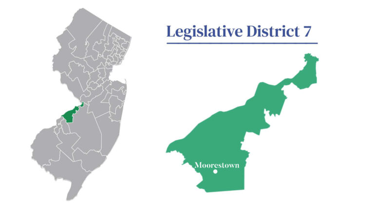 2025 election guide: LD7