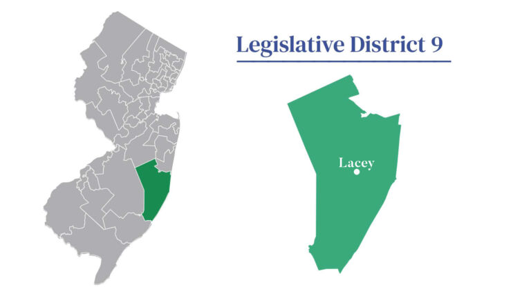 2025 election guide: LD9