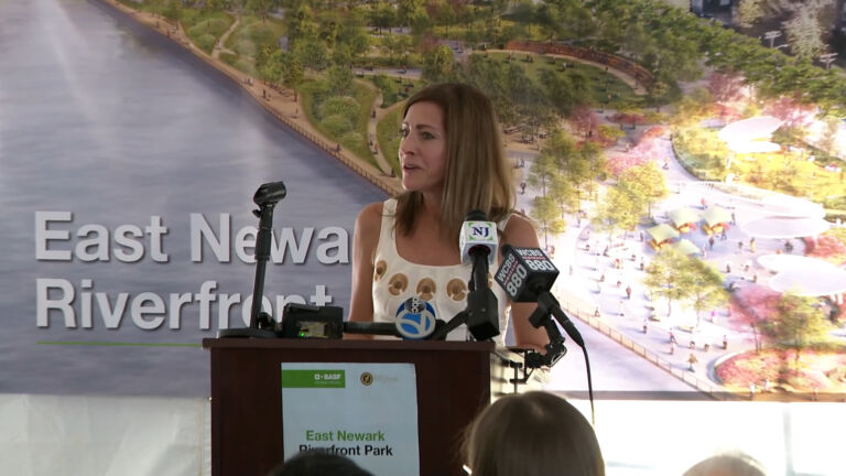 Pushback against Tammy Murphy as candidate to replace Menendez