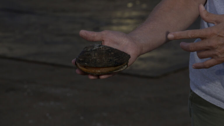 Clam fishing