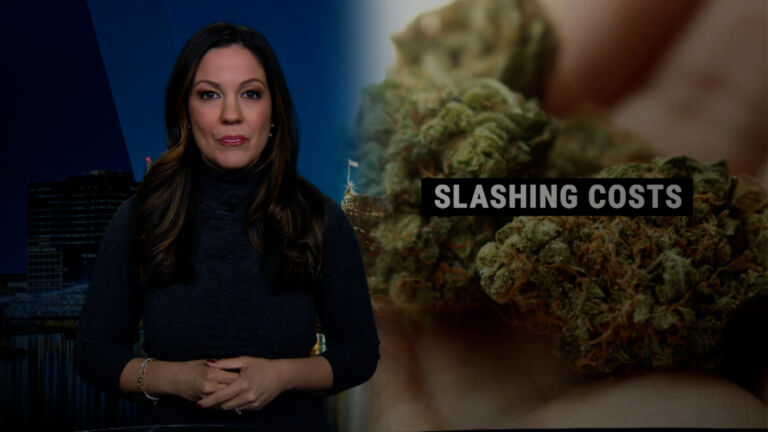 Interest in medical marijuana drops in NJ