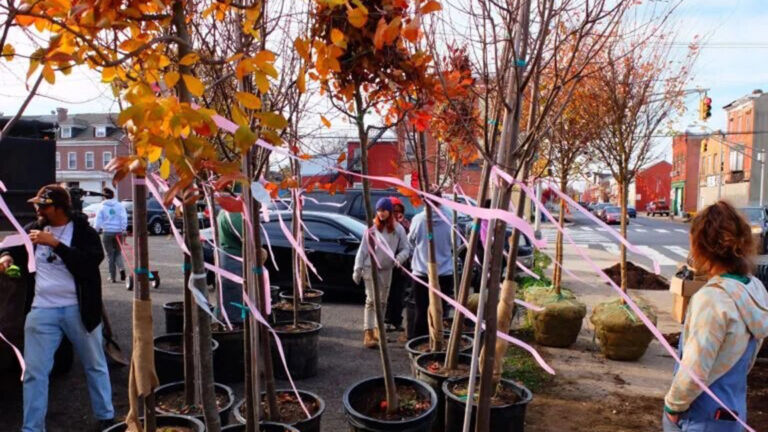 Efforts underway to help beautify and protect NJ’s urban areas with trees