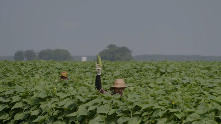 Rising cost of fuel, fertilizer leaves NJ farmers facing ‘significant financial strain’