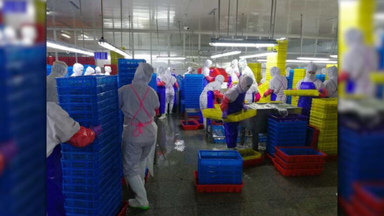 Report: Abuse of North Korean workers in Chinese seafood exports to NJ and US