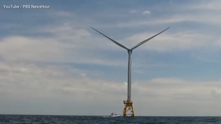 NJ commits funds to study offshore wind development’s ecological impacts