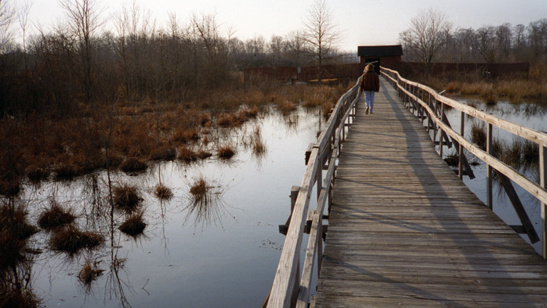 NJ wins money for parks, shoreline and more in federal budget bill