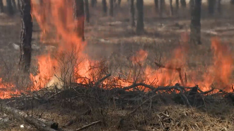 Military program funds wildfire protections in the Pinelands