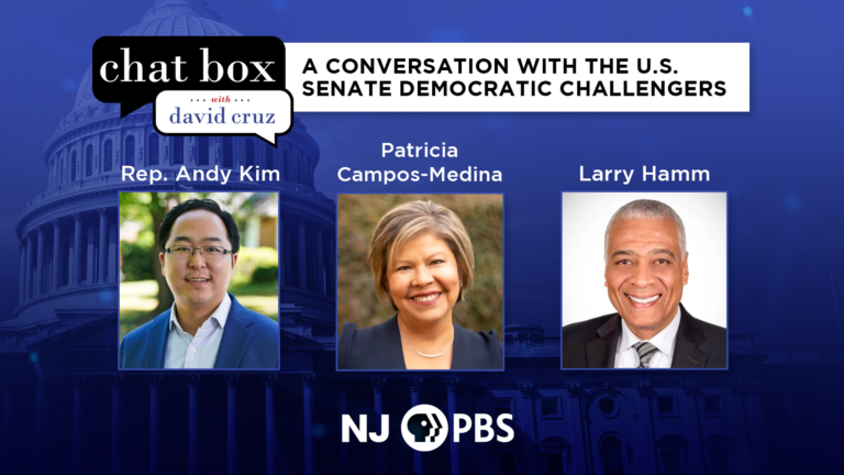 Kim, Hamm and Campos-Medina discuss the issues: Chat Box