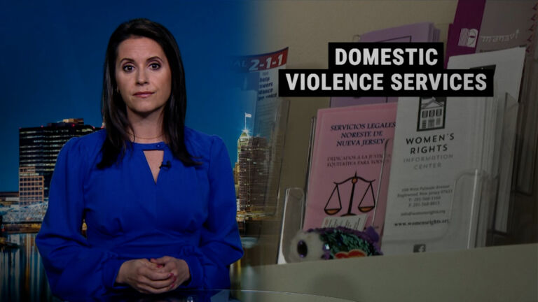 Domestic violence survey details extensive scope of problem in NJ