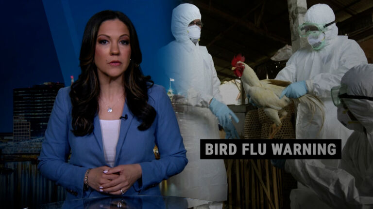 Bird flu outbreak spreads, but risk to public ‘very low’