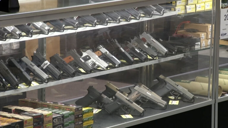 Camden County gets lesson in gun safety